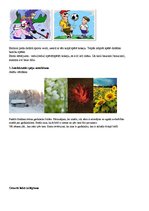 Paraugs 'Bērna runas un valodas izpēte pirmsskolas izglītības iestādē', 8.