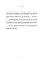 Referāts 'Cilvēka izpratne humānisma laikā', 3.