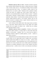 Referāts 'Cilvēka izpratne humānisma laikā', 9.