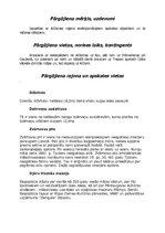 Referāts 'Brauciens ar velosipēdu pa Alūksnes rajonu', 2.