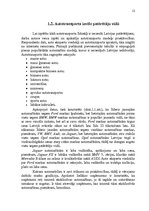 Diplomdarbs 'Transporta nomas pakalpojuma sniegšana SIA "X"', 12.