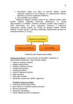 Diplomdarbs 'Transporta nomas pakalpojuma sniegšana SIA "X"', 24.