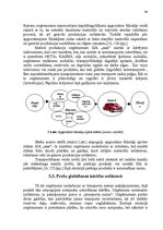 Diplomdarbs 'Transporta nomas pakalpojuma sniegšana SIA "X"', 46.