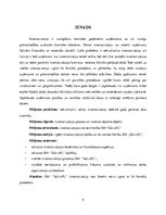 Referāts 'Inventarizācijas būtība un tās norise SIA "X"', 4.