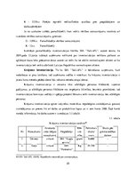 Referāts 'Inventarizācijas būtība un tās norise SIA "X"', 25.