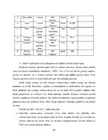 Referāts 'Inventarizācijas būtība un tās norise SIA "X"', 26.