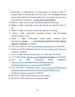 Referāts 'Inventarizācijas būtība un tās norise SIA "X"', 32.