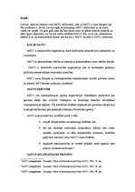 Referāts 'Latvijas ceļš uz NATO laikaposmā no 1990. līdz 2004.gadam', 2.