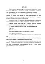 Biznesa plāns 'Biznesa plāns "Kapteiņa muiža"', 4.