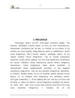 Referāts 'Mērķi', 7.