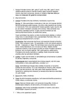 Konspekts 'Sergejs Prokofjevs', 1.