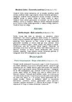 Referāts 'Dzīvnieku aizsardzība', 5.