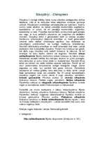 Referāts 'Dzīvnieku aizsardzība', 12.