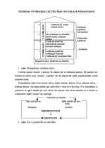 Referāts 'Teorijas un prakses attiecības sociālajā pedagoģijā', 1.