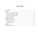 Referāts 'Noliktavu iedalījums pēc īpašuma veida', 3.