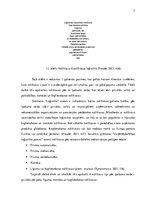 Referāts 'Noliktavu iedalījums pēc īpašuma veida', 7.