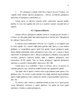 Referāts 'Noliktavu iedalījums pēc īpašuma veida', 17.