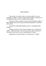 Prakses atskaite 'Bērna rotaļu vērojums', 4.