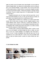 Referāts 'Žestu valoda fotogrāfijās', 5.