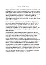 Konspekts 'Recenzija par filmu "Dvēseļu putenis"', 1.