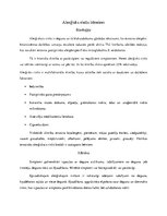 Konspekts 'Alerģisks rinīts bērniem', 1.