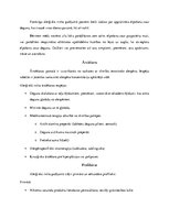 Konspekts 'Alerģisks rinīts bērniem', 2.