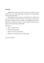 Referāts 'Sports cilvēka ikdienā', 3.