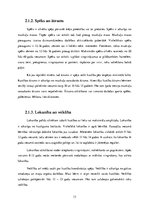 Referāts 'Sports cilvēka ikdienā', 13.