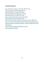 Referāts 'Sports cilvēka ikdienā', 24.