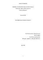 Prakses atskaite 'Prakses atskaite "Hotel Gutenbergs"', 1.