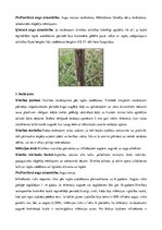 Konspekts 'Rapsis. Lini. Attīstības stadijas. Agrotehnika', 21.