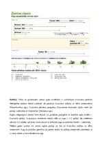 Konspekts 'Rapsis. Lini. Attīstības stadijas. Agrotehnika', 24.