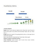 Konspekts 'Rapsis. Lini. Attīstības stadijas. Agrotehnika', 26.