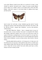 Konspekts 'Rapsis. Lini. Attīstības stadijas. Agrotehnika', 38.