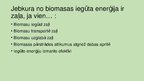 Prezentācija 'Biomasa', 10.