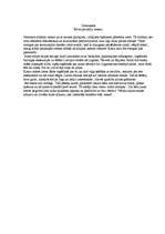 Eseja 'Kā es pavadīju vasaru', 1.