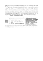 Paraugs 'Ventspils telpiskā struktūra', 3.