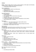 Konspekts 'Tiesību pamati', 1.