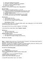 Konspekts 'Tiesību pamati', 2.