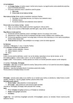 Konspekts 'Tiesību pamati', 3.