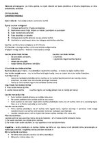 Konspekts 'Tiesību pamati', 4.