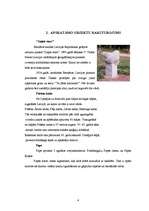 Referāts 'Tūrisma maršruts Liepāja - Pape - Liepāja', 3.