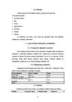 Referāts 'Tūrisma maršruts Liepāja - Pape - Liepāja', 10.