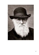 Referāts 'Модификационная изменчивость', 25.