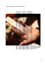 Referāts 'Модификационная изменчивость', 27.