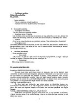 Referāts 'Sociālā gadījuma analīze', 2.