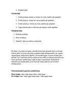 Paraugs 'Medicīniski pedagoģiskais novērojums florbola nodarbībā', 3.