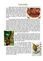 Paraugs 'Kakao. Dievu barība', 1.
