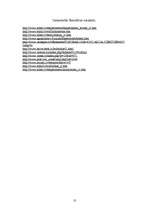 Referāts 'Eksperimentālā arheoloģija Latvijā', 10.