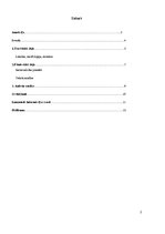 Referāts 'Jauniešu valoda interneta vidē', 2.